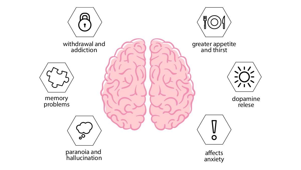 What is THC?: The Effects of THC On Our Body&nbsp;