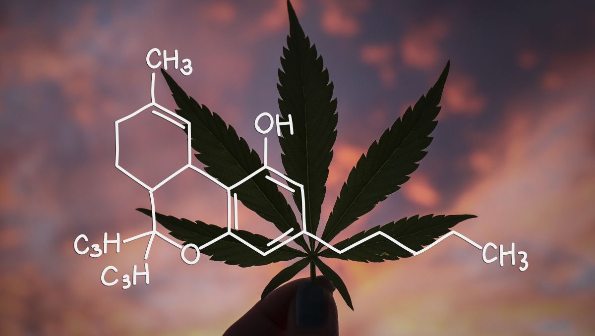 大麻的CBN分子结构