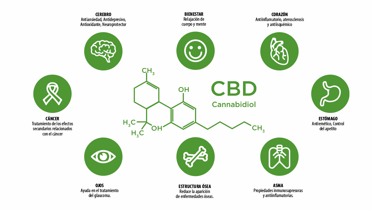 Efectos beneficiosos del consumo de CBD en la salud.