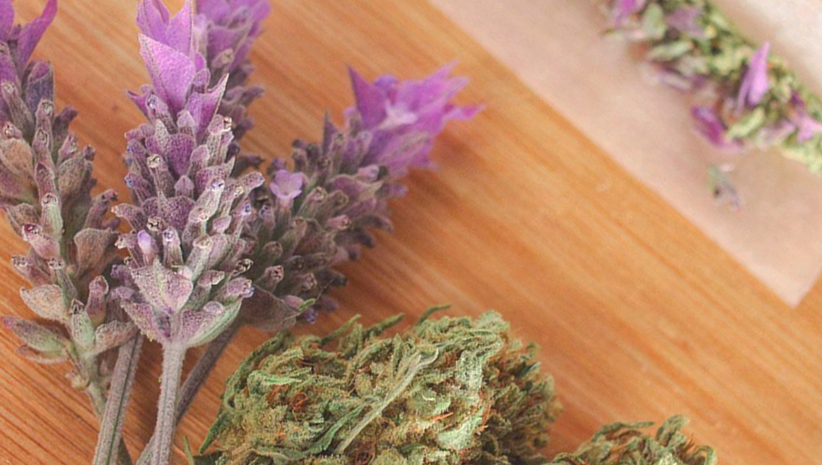 Lavendel on rikas linalool-terpeenide poolest – sega seda oma jointi rahustava efekti jaoks.