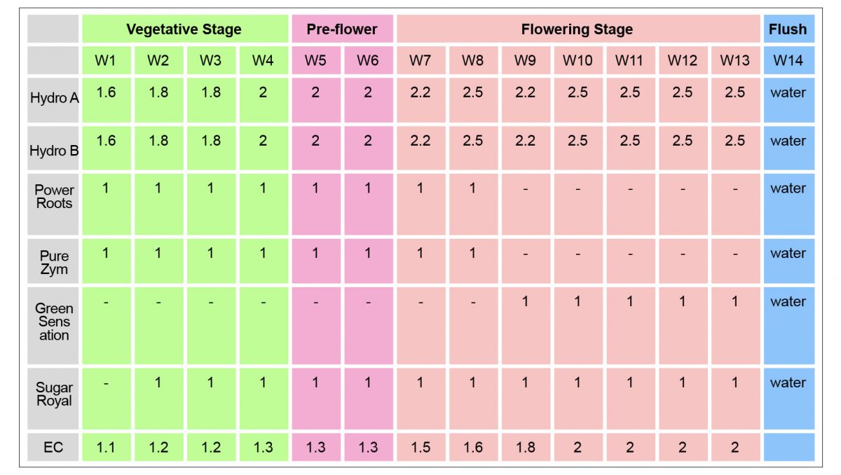 Plagron usage guide: mineral fertilizers for photos in hydro
