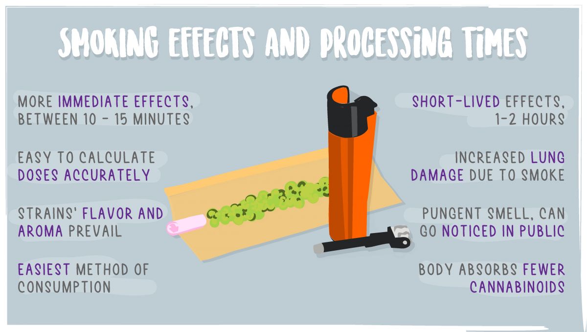 Edibles impact on your brain: smoking plants