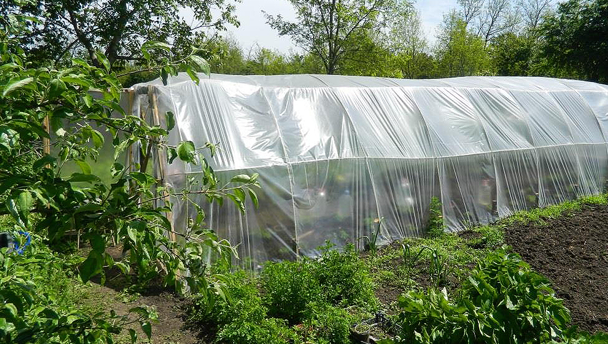 How To Build A Greenhouse: building the side walls