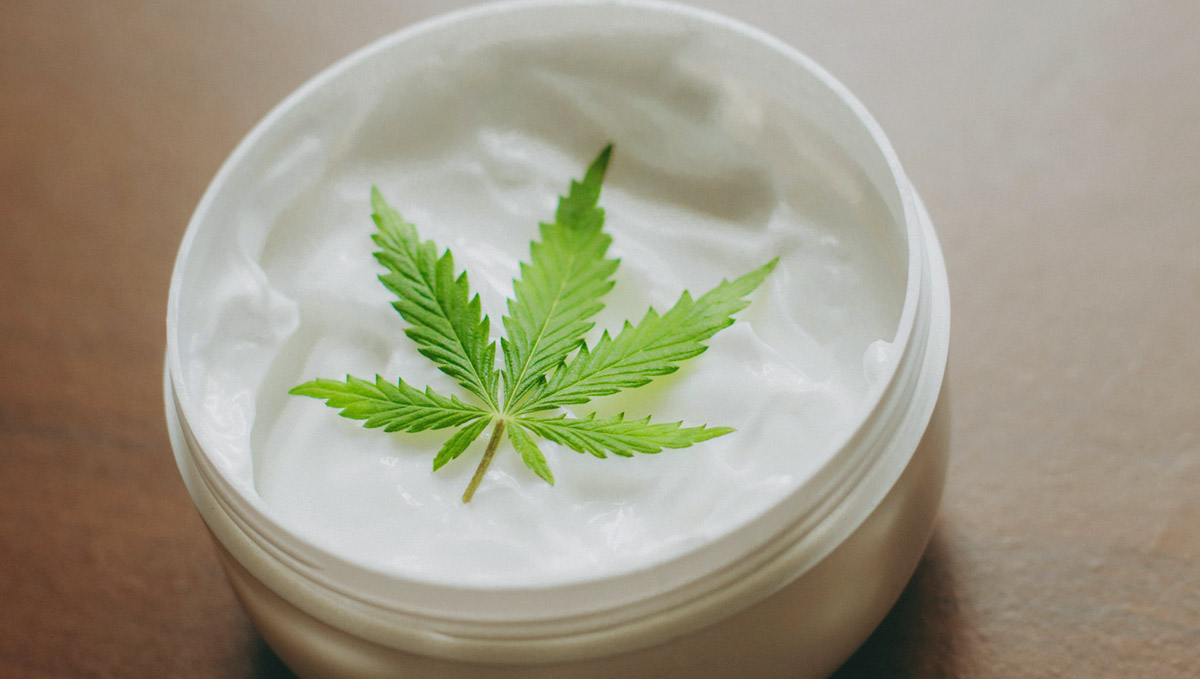 Terpinolene terpenes work effectively as antiseptics.