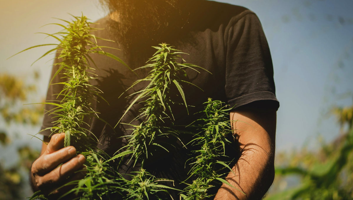 Check for your housemates if they agree on you growing plants at home.
