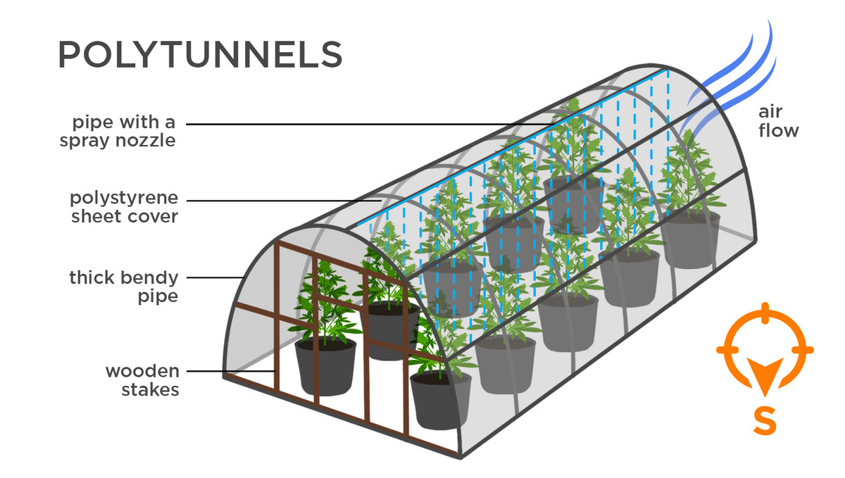 How To Protect Autoflower Strains From Heat Stress: Polytunnels