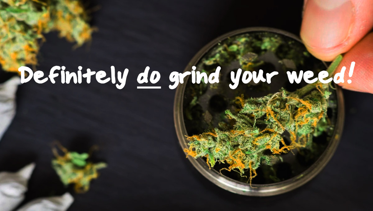 You should absolutely definitely grind your weed!