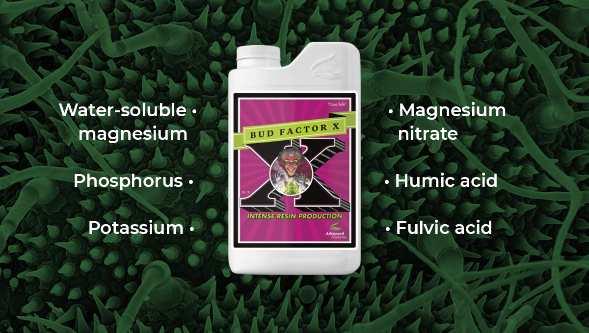 Advanced nutrients for autoflowers: bud factor x