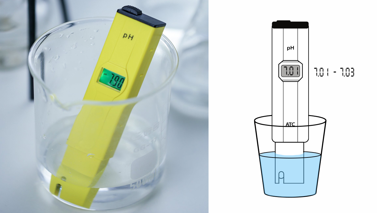 Why and how to use a pH pen: step 2