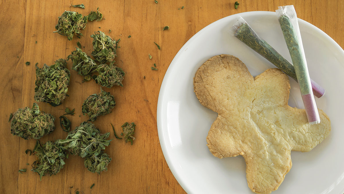 Plants has proven scientifically its efficacy for appetite boosting.