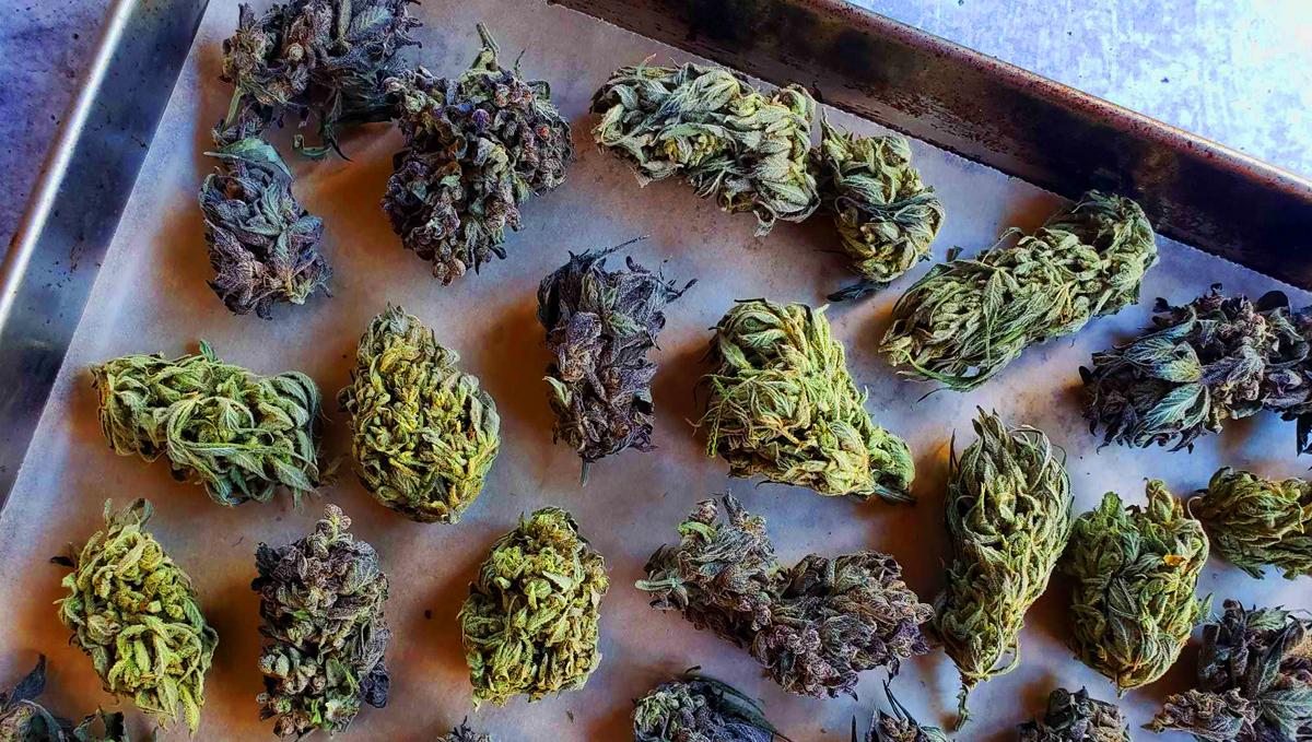 Don't forget to decarboxylate the weed before making the oil.