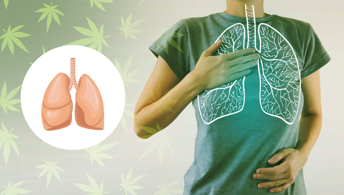 Edibles have zero affections on our lungs