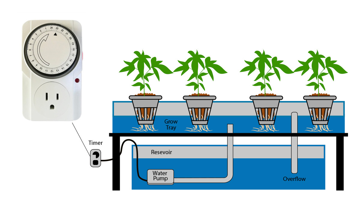 8 Mistakes To Avoid When Growing Cannabis With Hydroponics: Timer for hydroponic setup