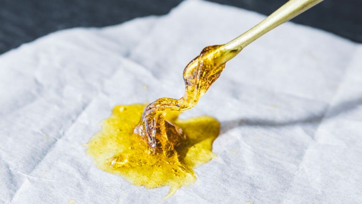 O que é Kief e melhores formas de usá-lo: Rosin Extract O que é Kief e melhores formas de usá-lo: Rosin Extract