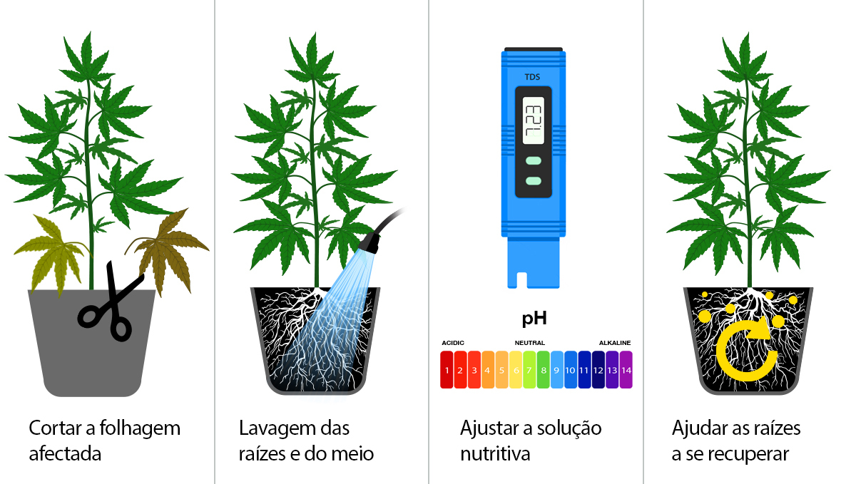O que &eacute; a sobrealimenta&ccedil;&atilde;o: consertar a queimadura por nutrientes em 4 passos