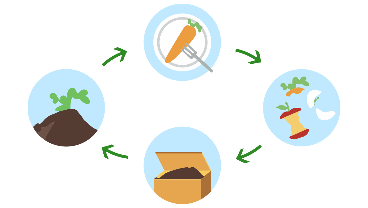 Composting: what is composting?