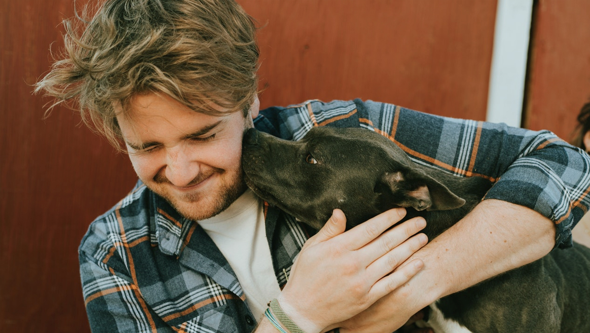 Adopt a pet to join you on all your future highs.