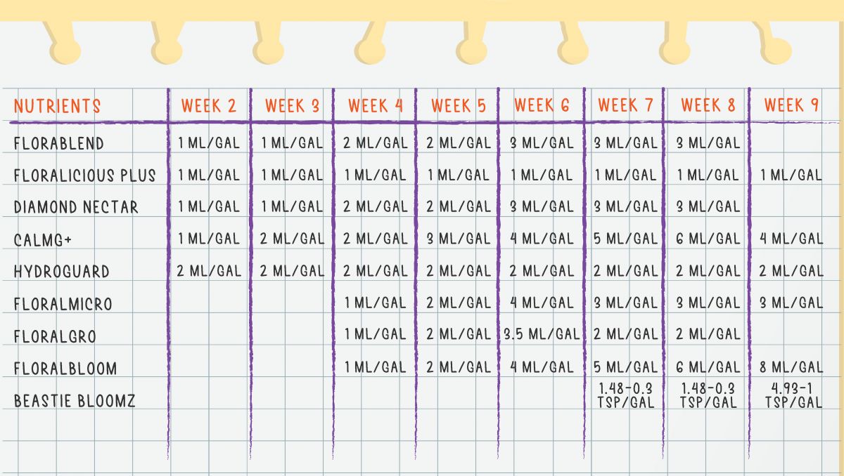Gorilla Cookies Auto Plants Seed Week-by-Week Guide: Feeding schedule