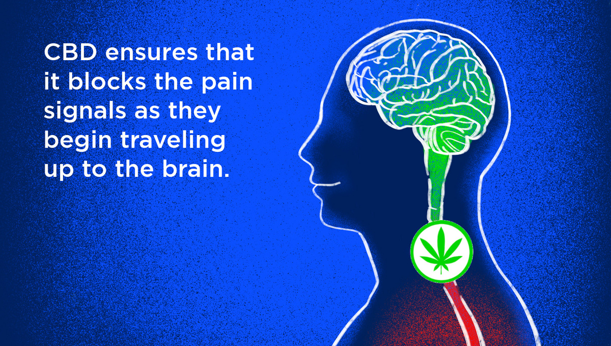 Can Medical Plants Relieve Chronic Pain?: Extract Blocks Pain Signals That Are Being Sent To The Brain