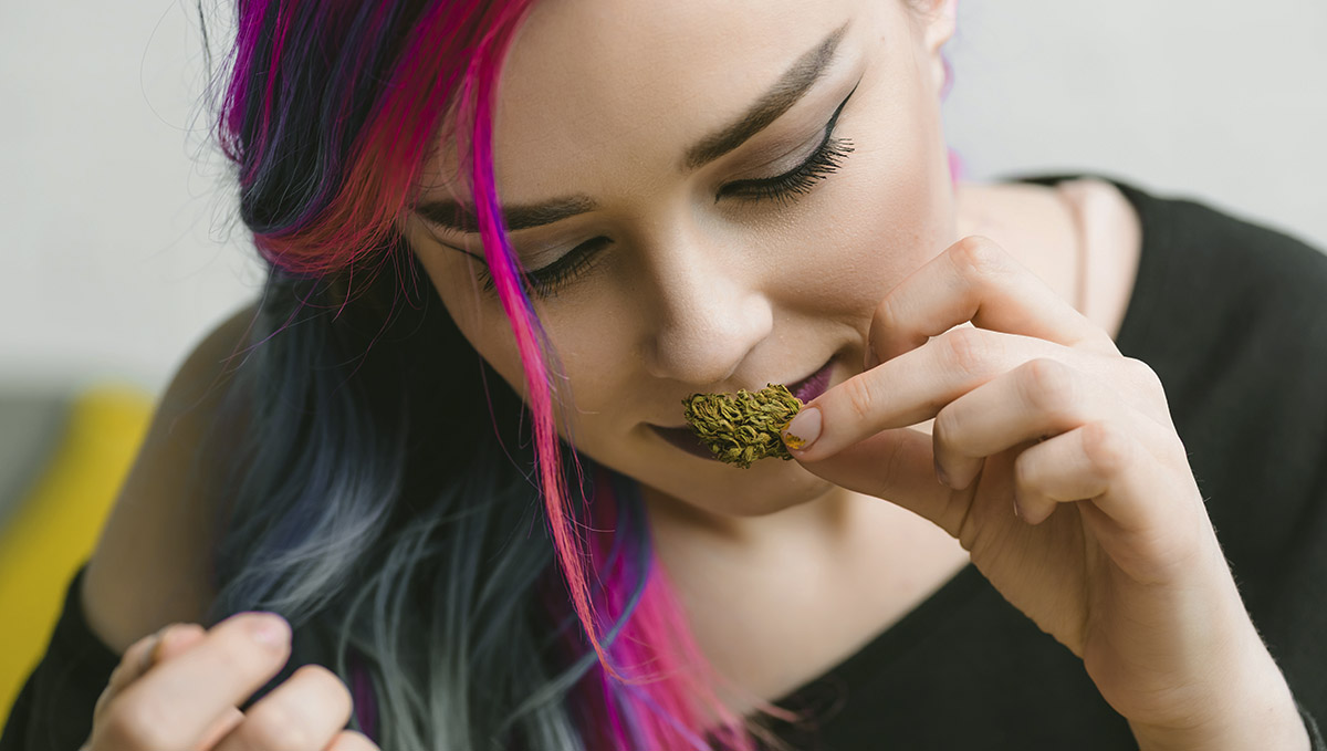 Terpinolene is the terpene characteristic of that woody, floral, herbal, and piney cannabis flavor and scent.