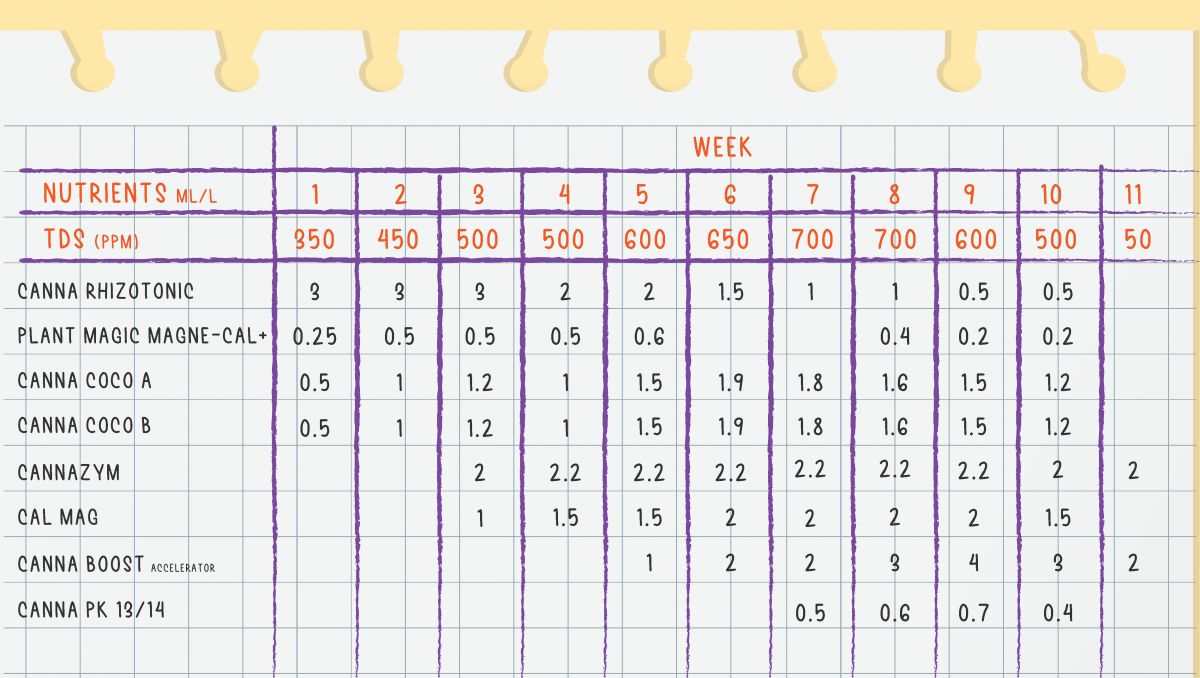 Nährstoffplan für Strawberry Pie Auto Plants, Woche 1 bis 11, mit P und K für Budbildung.