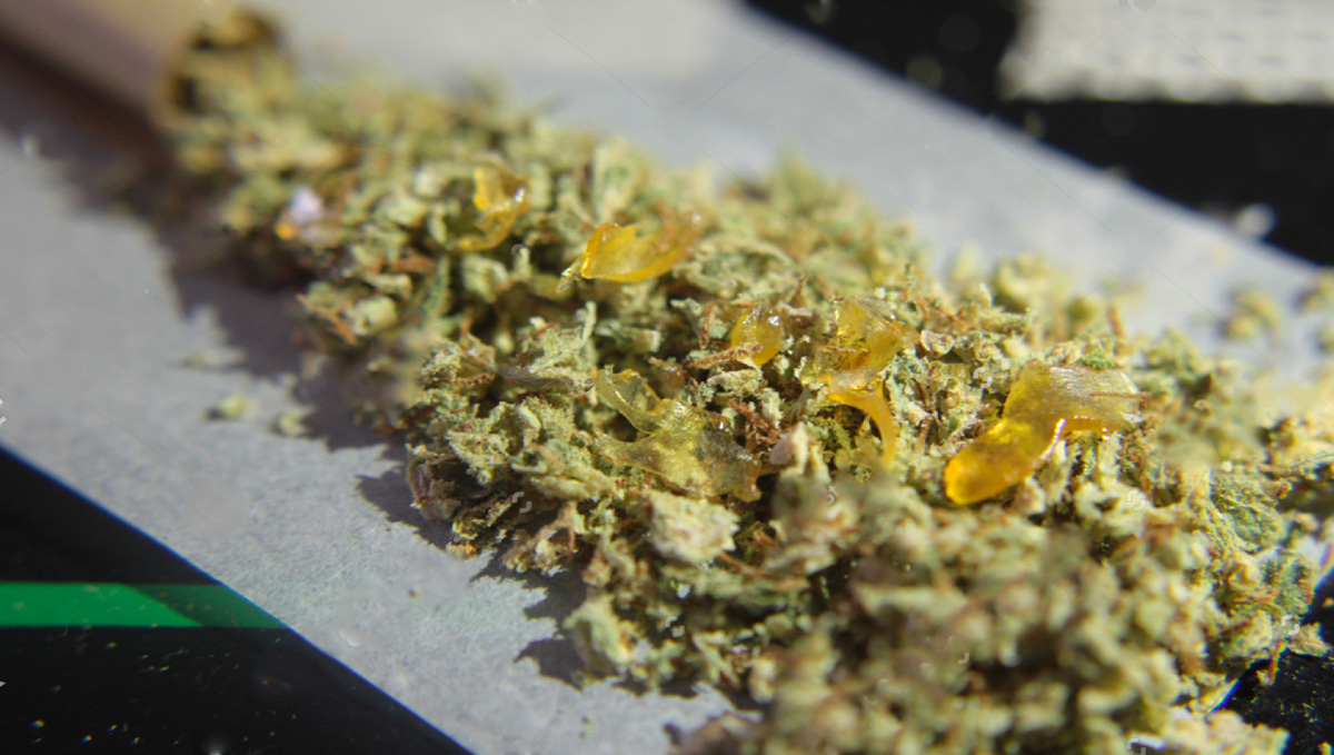 Cannabis Concentrates: Shatter Joint