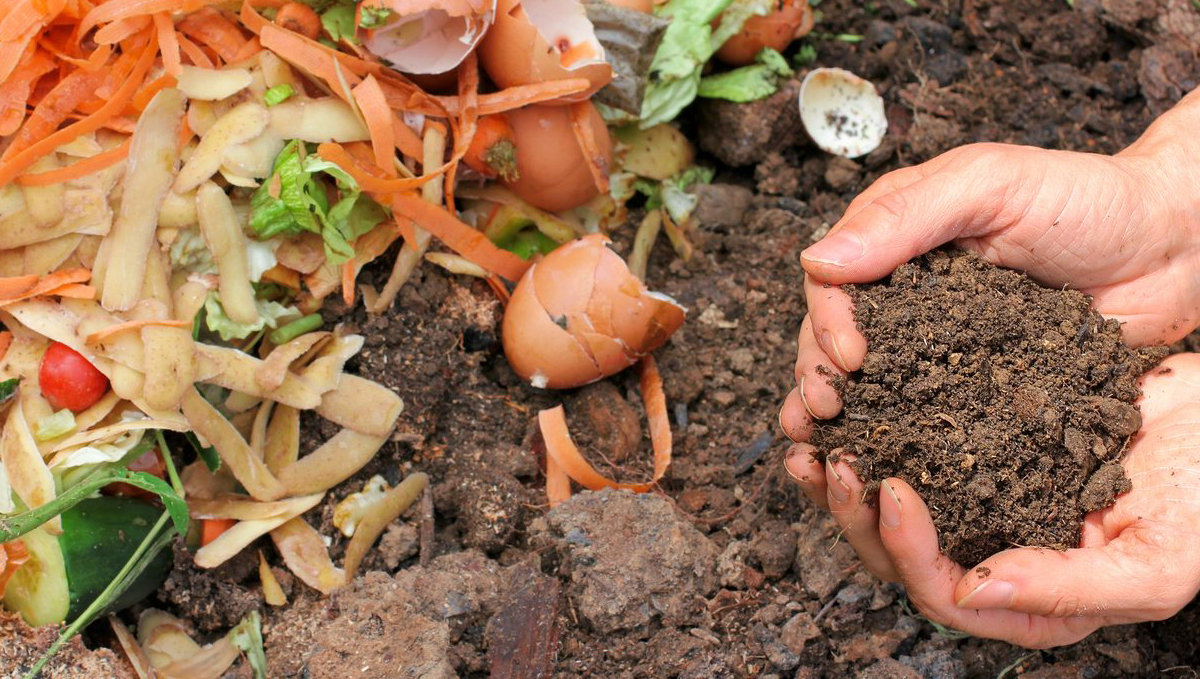 Basics of growing autos in soil: organic vs synthetic
