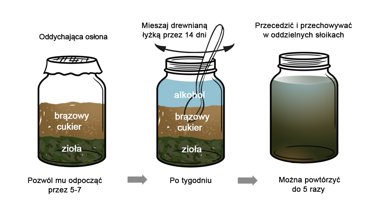 Koreańskie rolnictwo naturalne: receptura składnik&oacute;w odżywczych zi&oacute;ł orientalnych