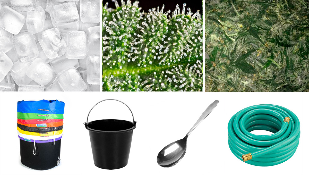 Cannabis Concentrates: Bubble Hash Material