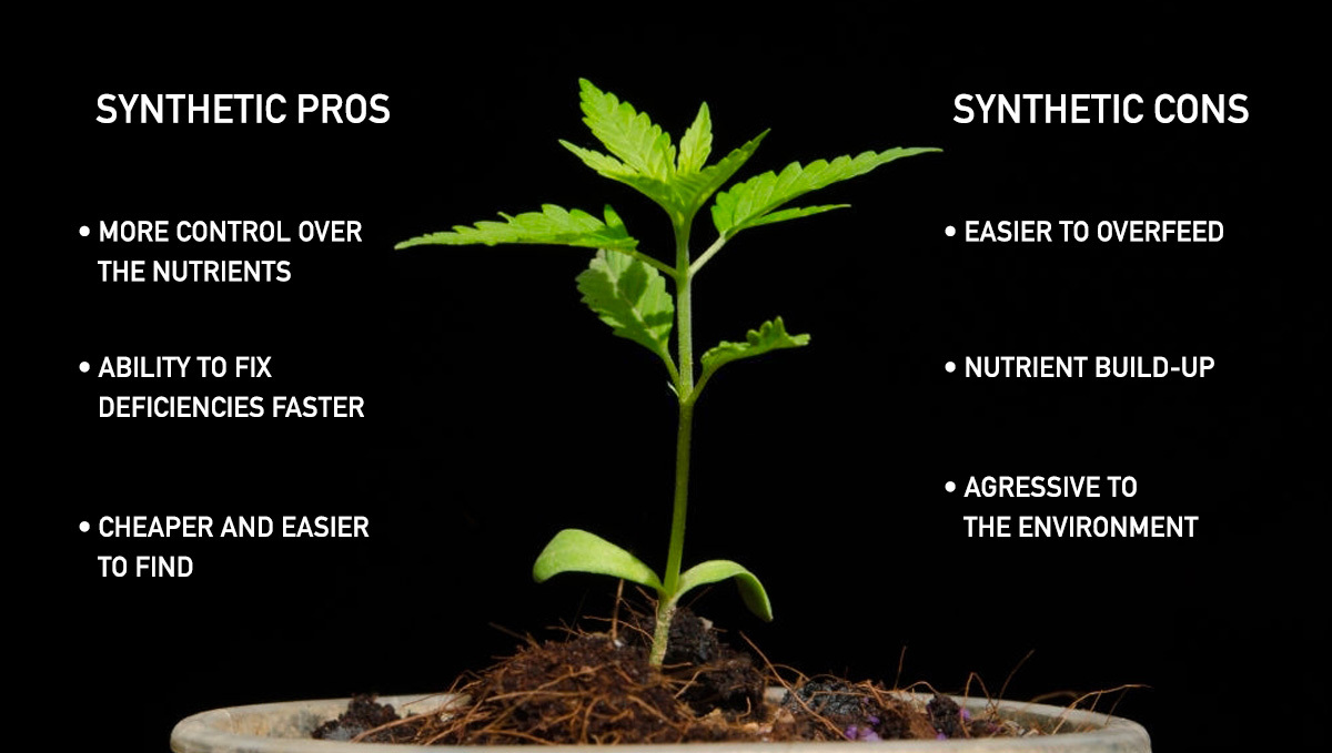 Growing Plants: Synthetic pros and cons
