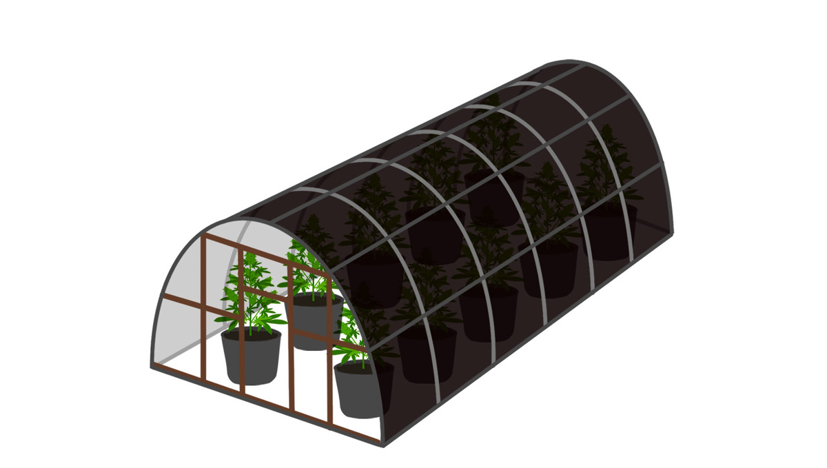 Best light schedule for flowering: outdoors