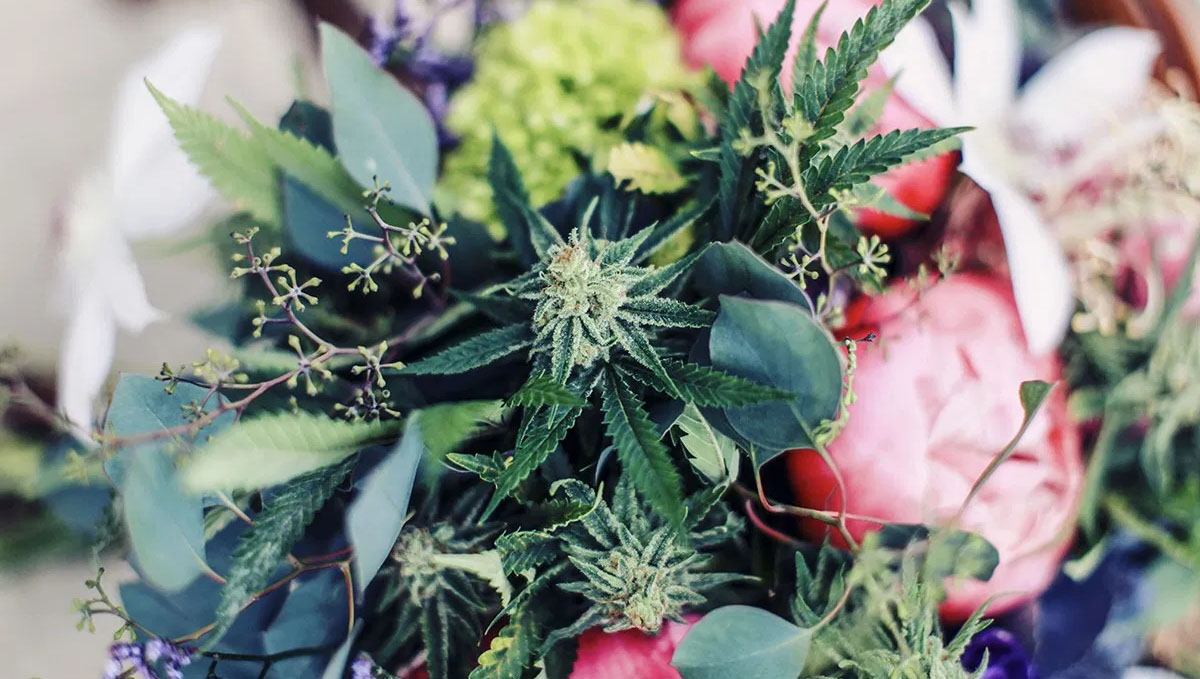 Give your lover a plants flowers bouquet this Valentine's Day.