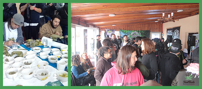 ambiente y jurado 2nd-copa-canabica-litoral-de-los-poetas-2017