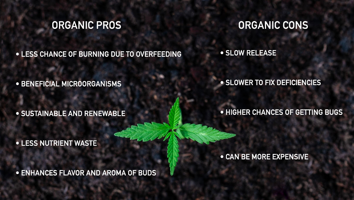 Growing Plants: Organic pros and cons