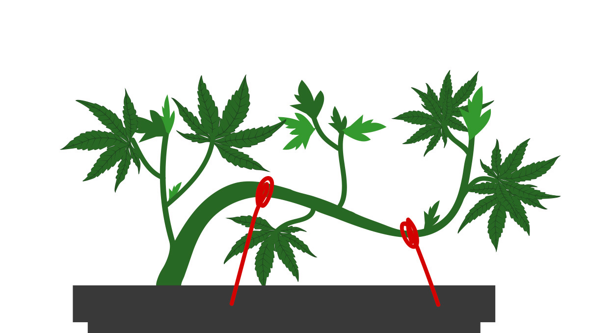 The tie-down method: pros and cons