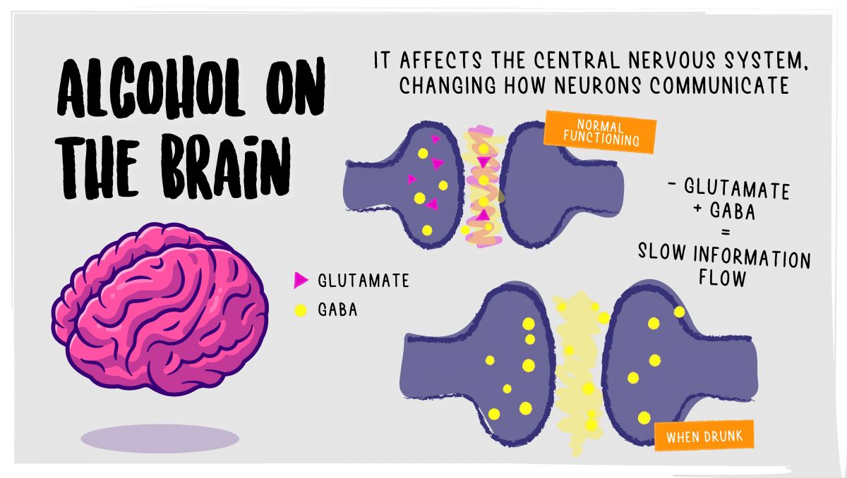 The effects of mixing alcohol and plants: the effects of alcohol on the brain