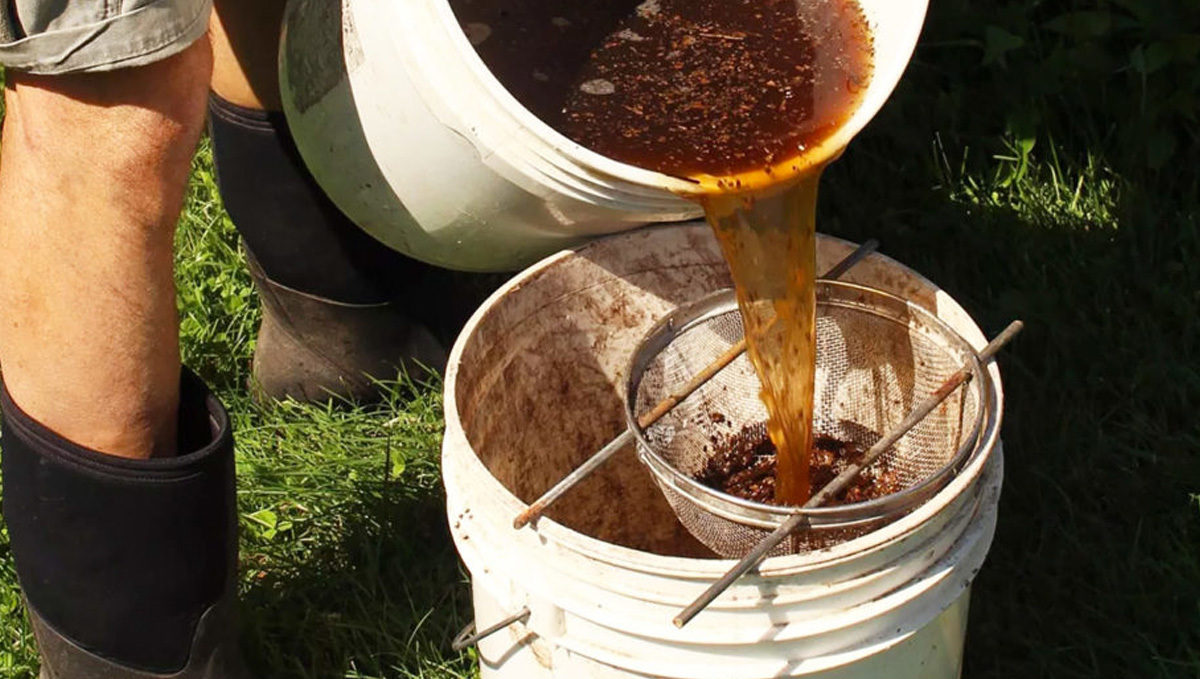 Organic teas for plants: ingredients