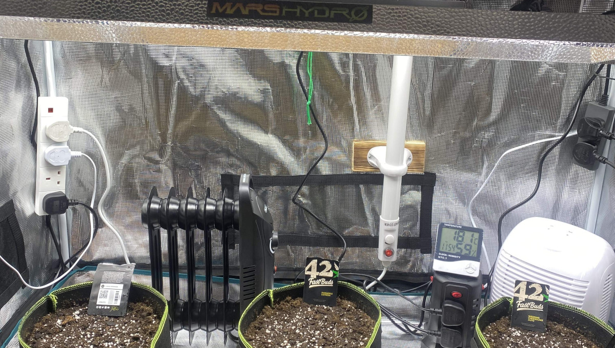 Gorilla Cookies Auto大麻品种全周期周周指南:Mars Hydro LED和三个种植袋 Gorilla Cookies Auto大麻品种全周期周周指南:Mars Hydro LED和三个种植袋