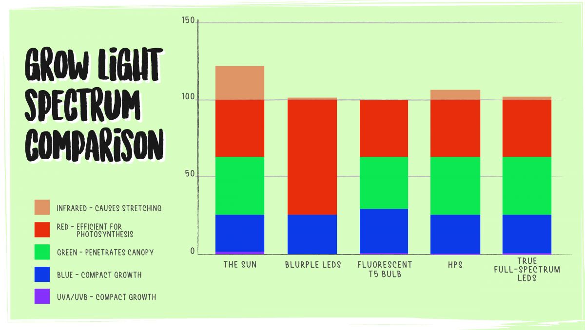 Best led lights for small spaces: spectrum comparison Best led lights for small spaces: spectrum comparison