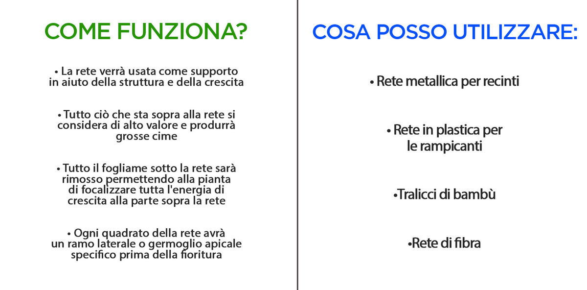 Struttura SCROG in legno personalizzata per la coltivazione di cannabis.