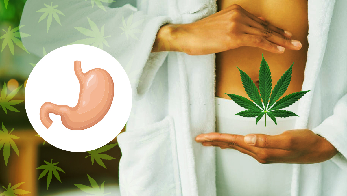 Edibles keep your digestive system safe
