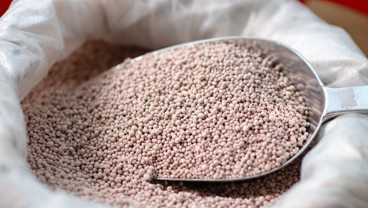 Growing Auto Plants Plants Using Organic Fertilizers: Phosphorus