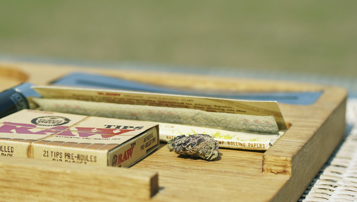 What Happens To Your Body When You Smoke Plants Every Day?: No one can deny the satisfying sensation of rolling a joint.