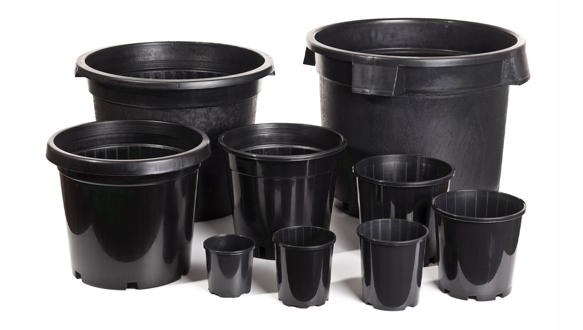 Types of containers for growing autos: plastic containers