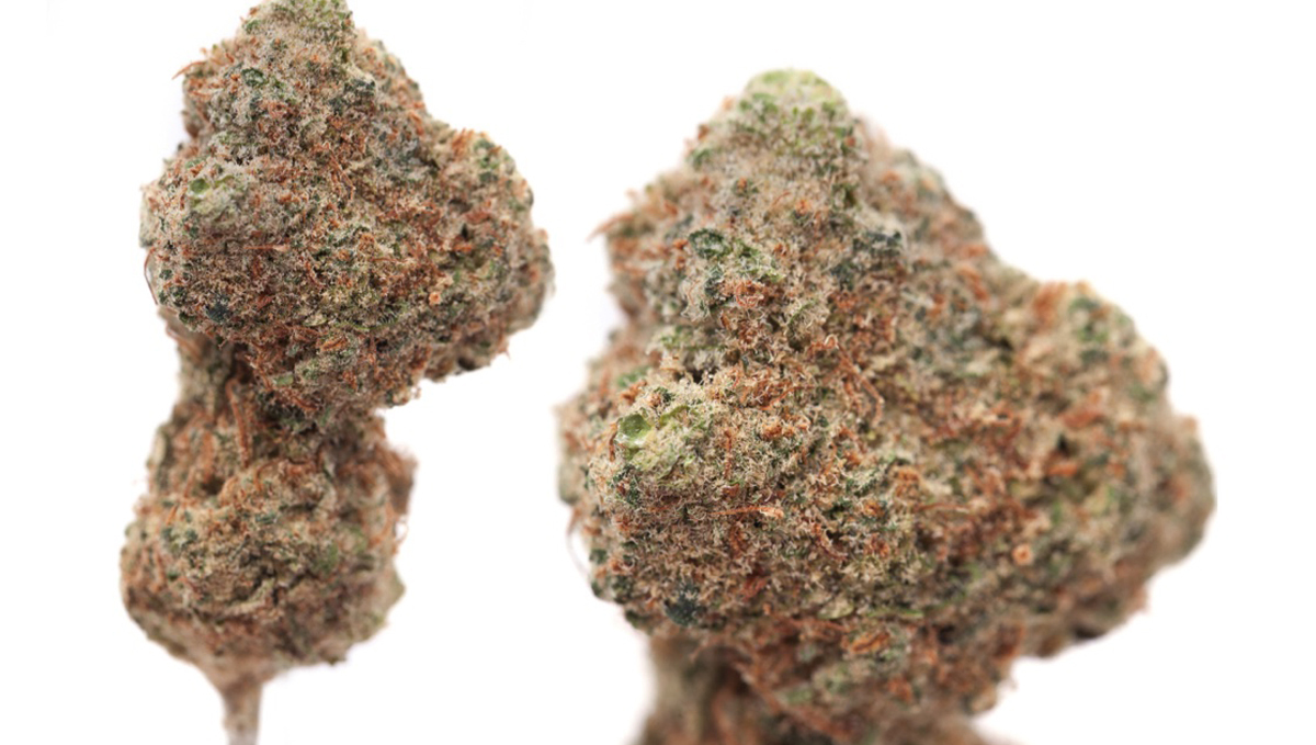 PGR Weed &ndash; What Is Plant Growth Regulators and How to Spot it: Two closely trimmed brownish nuggets