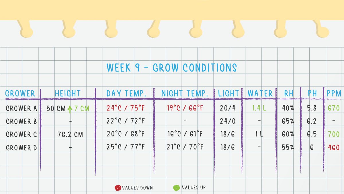 Gorilla Cookies Auto Plants Seed Week-by-Week Guide: Week 9 Grow Conditions