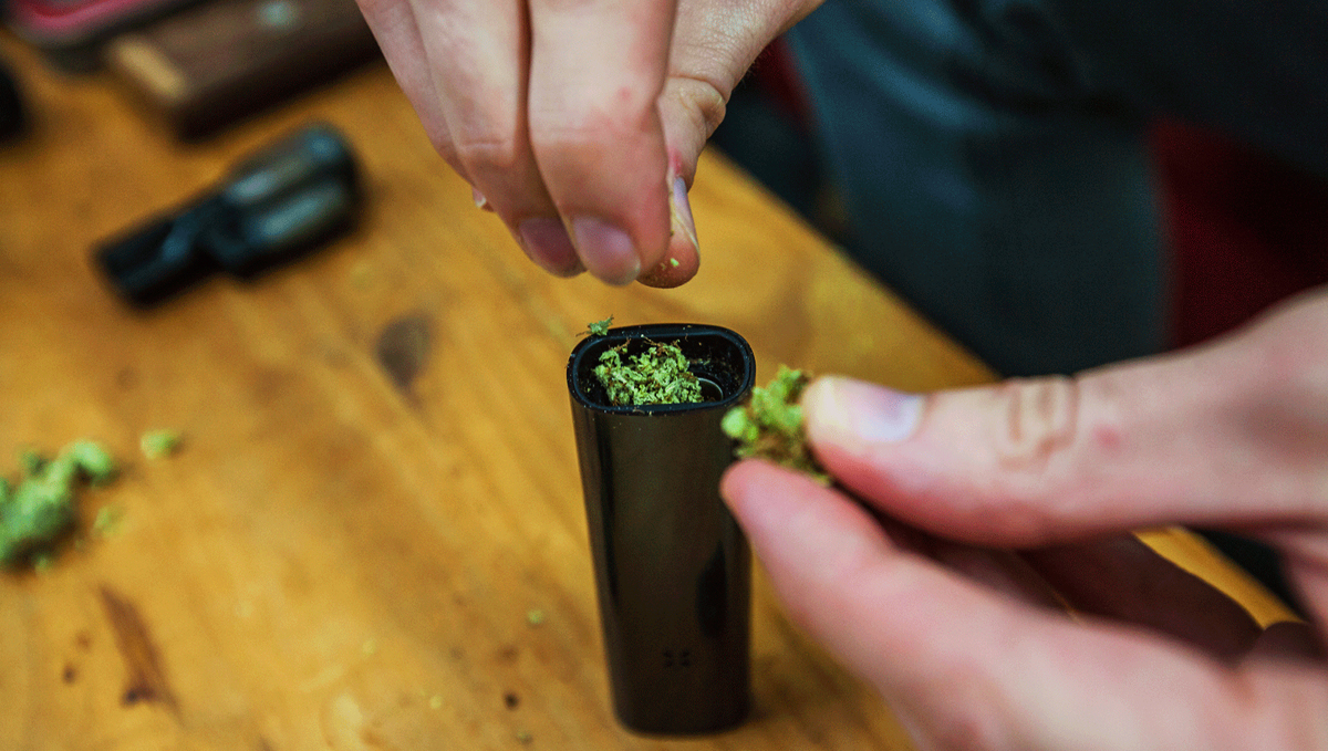 Packing the chamber of a dry herb vape.