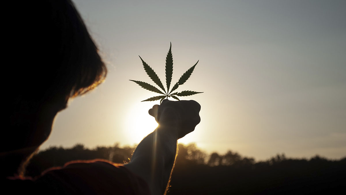 Naturalist stoners are one to preserve the purity of plants to the maximum.