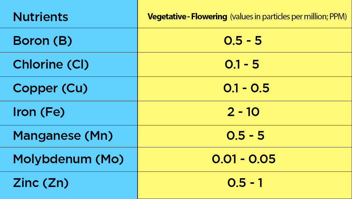 Kanepi toitained: Soovituslikud mikrotoitainete kogused&nbsp;