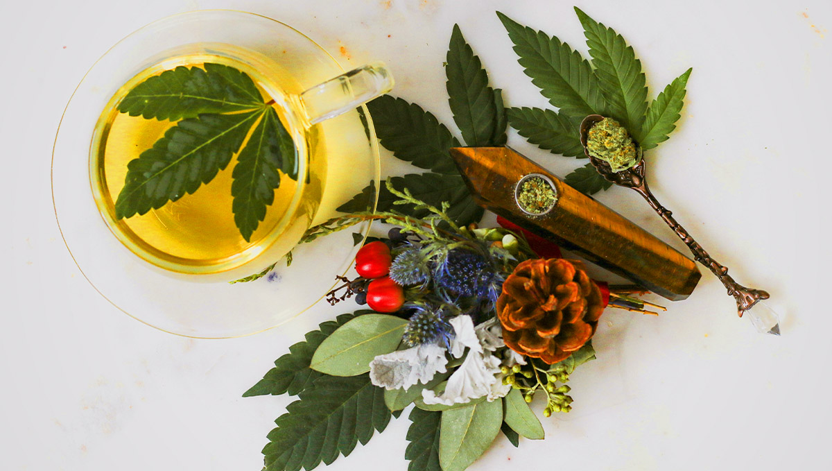 Cé dhéarfadh go gcoinneodh terpenes pinene muid óg?